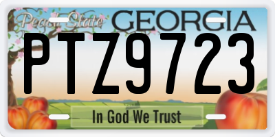 GA license plate PTZ9723