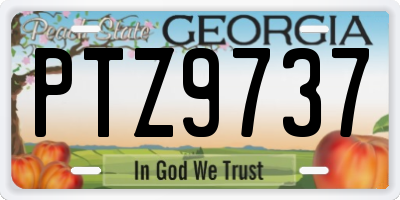 GA license plate PTZ9737