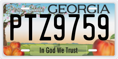 GA license plate PTZ9759