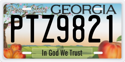 GA license plate PTZ9821
