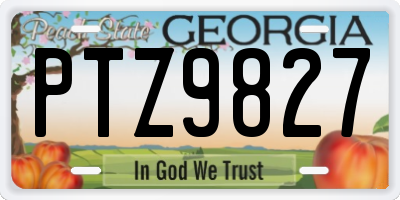GA license plate PTZ9827