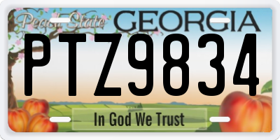 GA license plate PTZ9834