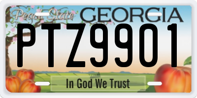 GA license plate PTZ9901