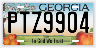 GA license plate PTZ9904