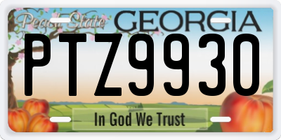 GA license plate PTZ9930