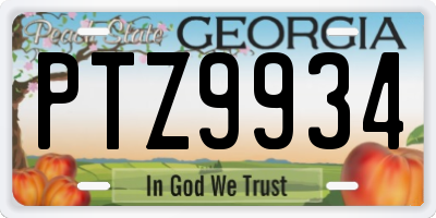 GA license plate PTZ9934