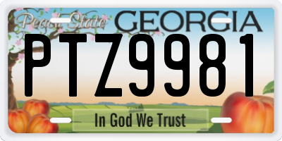 GA license plate PTZ9981