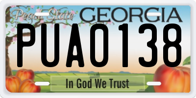 GA license plate PUA0138