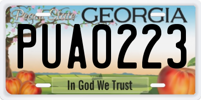 GA license plate PUA0223