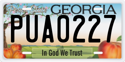 GA license plate PUA0227