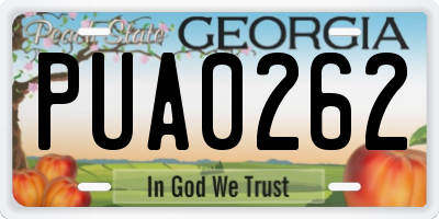 GA license plate PUA0262