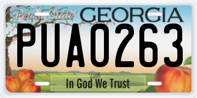 GA license plate PUA0263