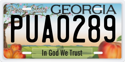 GA license plate PUA0289
