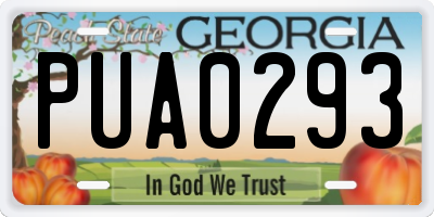 GA license plate PUA0293