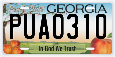 GA license plate PUA0310