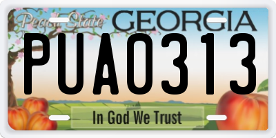 GA license plate PUA0313