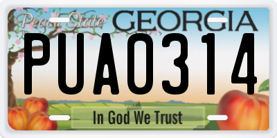 GA license plate PUA0314