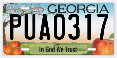GA license plate PUA0317