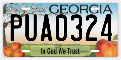 GA license plate PUA0324