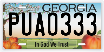 GA license plate PUA0333