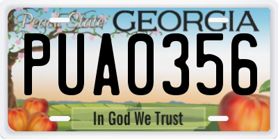 GA license plate PUA0356