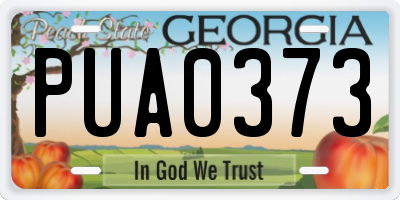 GA license plate PUA0373