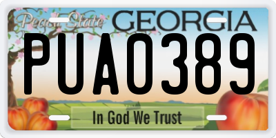 GA license plate PUA0389