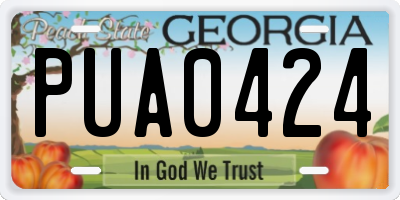 GA license plate PUA0424