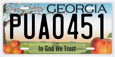 GA license plate PUA0451
