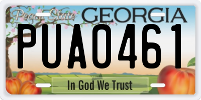GA license plate PUA0461