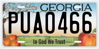 GA license plate PUA0466