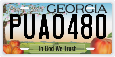 GA license plate PUA0480