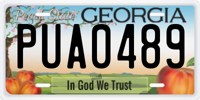 GA license plate PUA0489