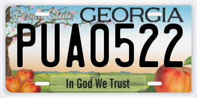 GA license plate PUA0522