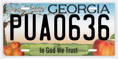 GA license plate PUA0636