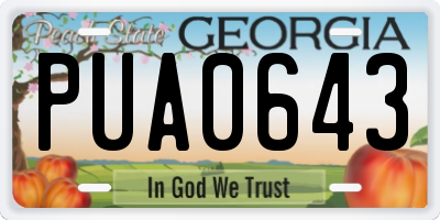 GA license plate PUA0643