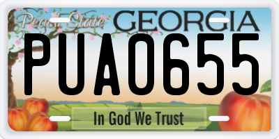 GA license plate PUA0655