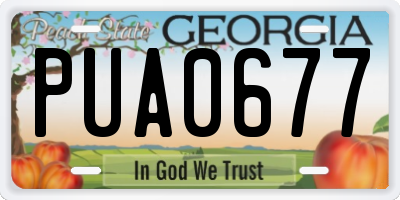 GA license plate PUA0677