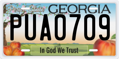 GA license plate PUA0709