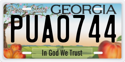 GA license plate PUA0744