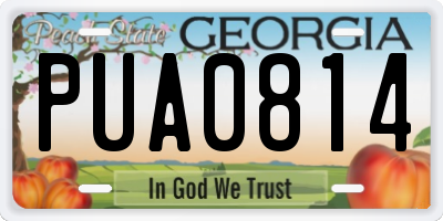 GA license plate PUA0814
