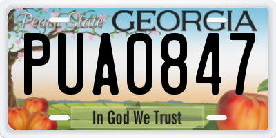 GA license plate PUA0847