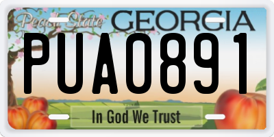 GA license plate PUA0891