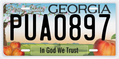 GA license plate PUA0897