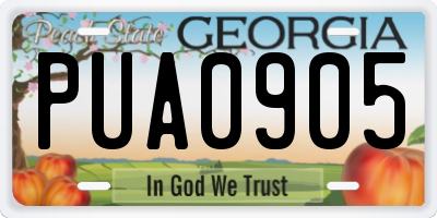 GA license plate PUA0905