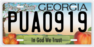 GA license plate PUA0919
