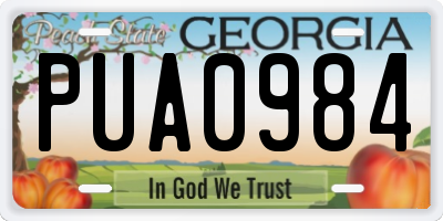 GA license plate PUA0984