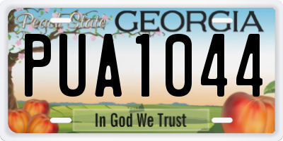 GA license plate PUA1044