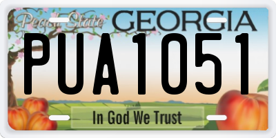 GA license plate PUA1051