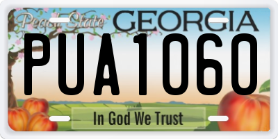 GA license plate PUA1060